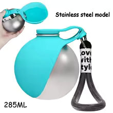 Portable Stainless Steel Dog Water Bottle